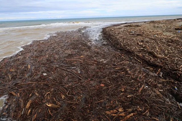 Πλημμύρες στη Θεσσαλία