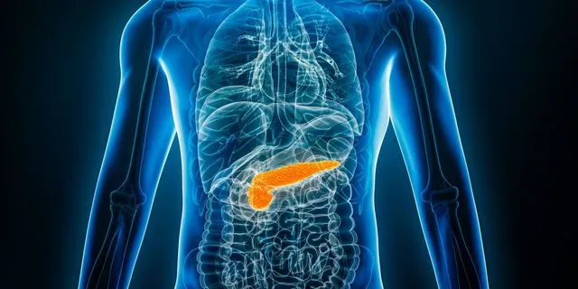 Πάγκρεας (φωτογραφία αρχείου)