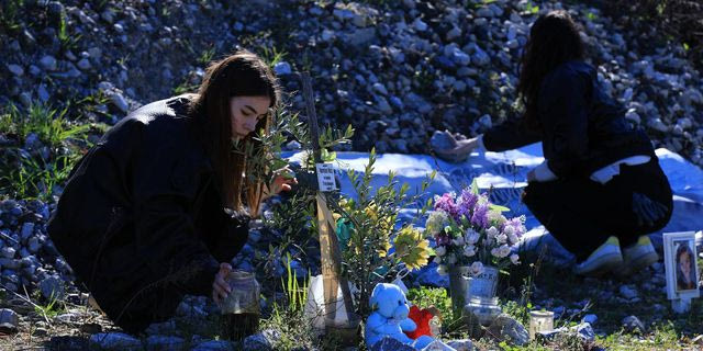 Τέμπη: Νέοι από ευρωπαϊκές χώρες φρόντισαν τις 57 ελιές στο σημείο της τραγωδίας
