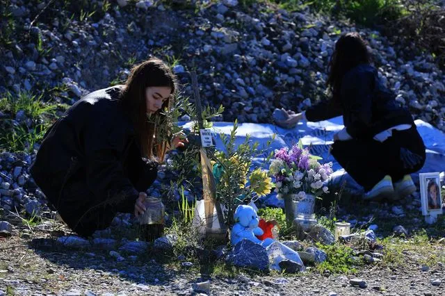 Τέμπη: Νέοι από ευρωπαϊκές χώρες φρόντισαν τις 57 ελιές στο σημείο της τραγωδίας