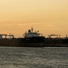 Φωτογραφία αρχείου