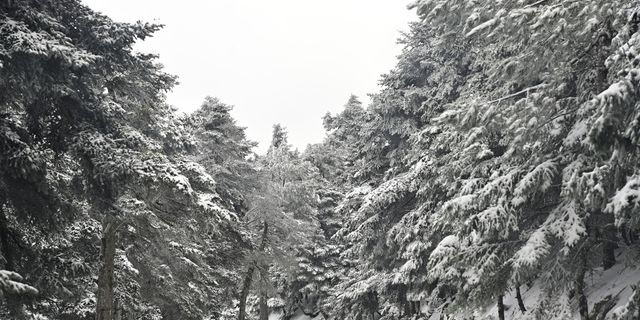 Σέρρες: Απεγκλωβίστηκαν οι οδηγοί που “έμειναν” με τα οχήματά τους στον Λαϊλιά