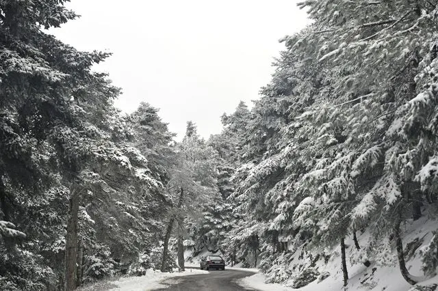 Σέρρες: Απεγκλωβίστηκαν οι οδηγοί που “έμειναν” με τα οχήματά τους στον Λαϊλιά