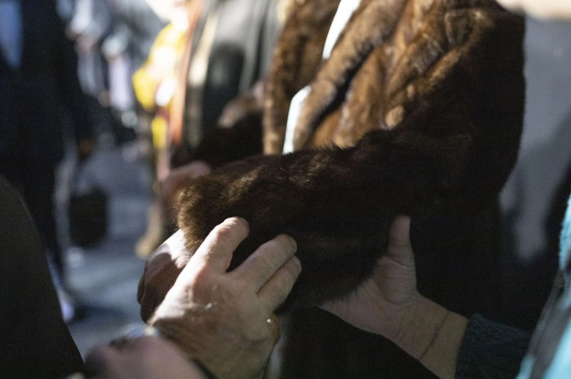 Βυσσινίκηπος σε συνθήκες καθολικής προσβασιμότητας