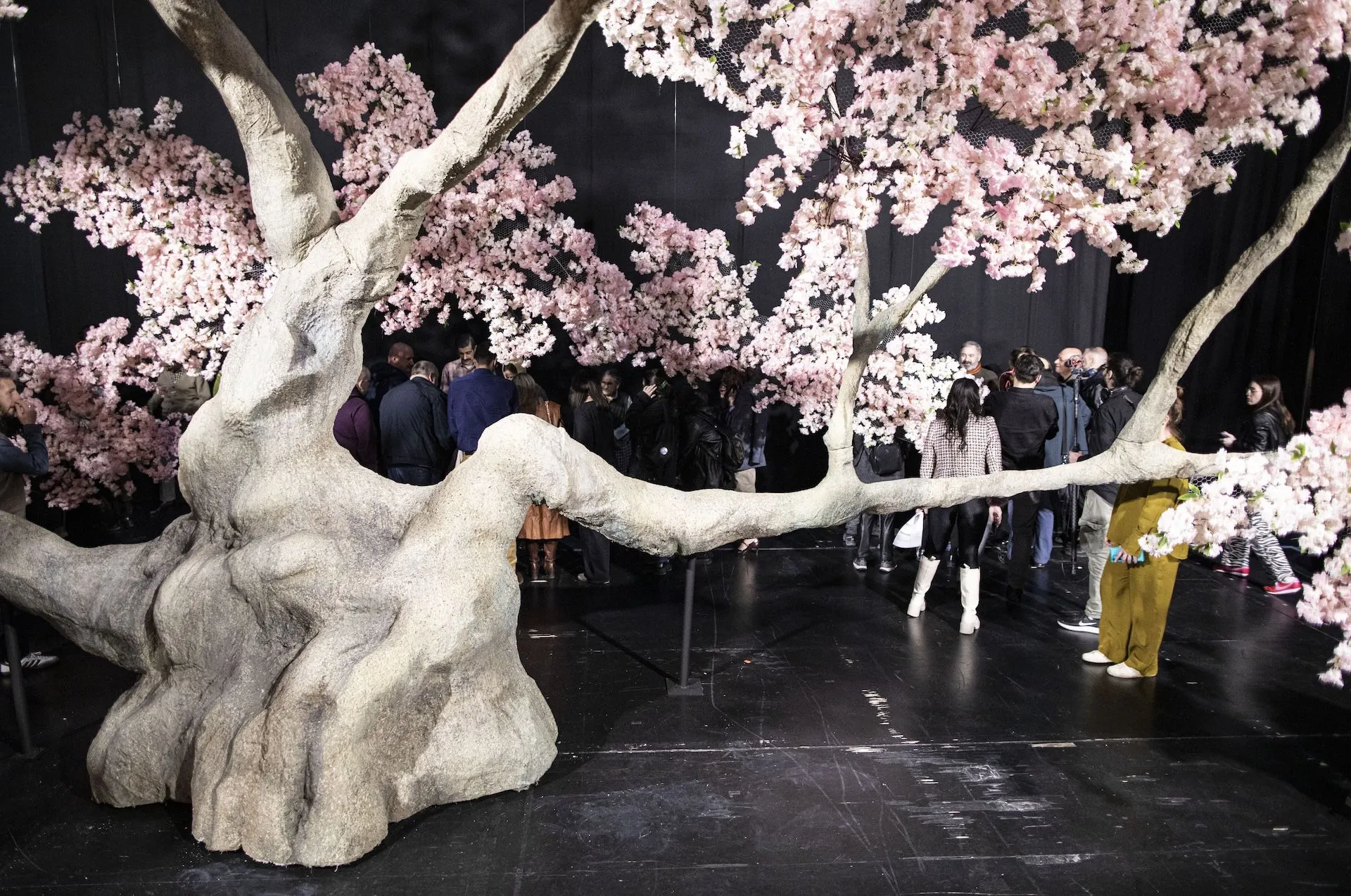 Βυσσινίκηπος σε συνθήκες καθολικής προσβασιμότητας