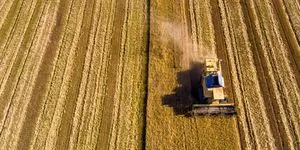 Από τα Στενά του Ορμούζ στη Χαλάστρα – Πώς ο πόλεμος φουσκώνει τα λιπάσματα