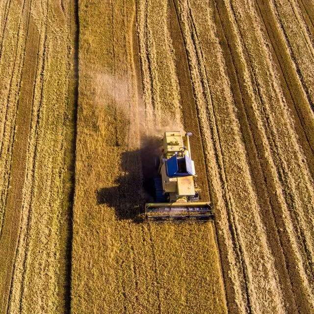 Από τα Στενά του Ορμούζ στη Χαλάστρα – Πώς ο πόλεμος φουσκώνει τα λιπάσματα