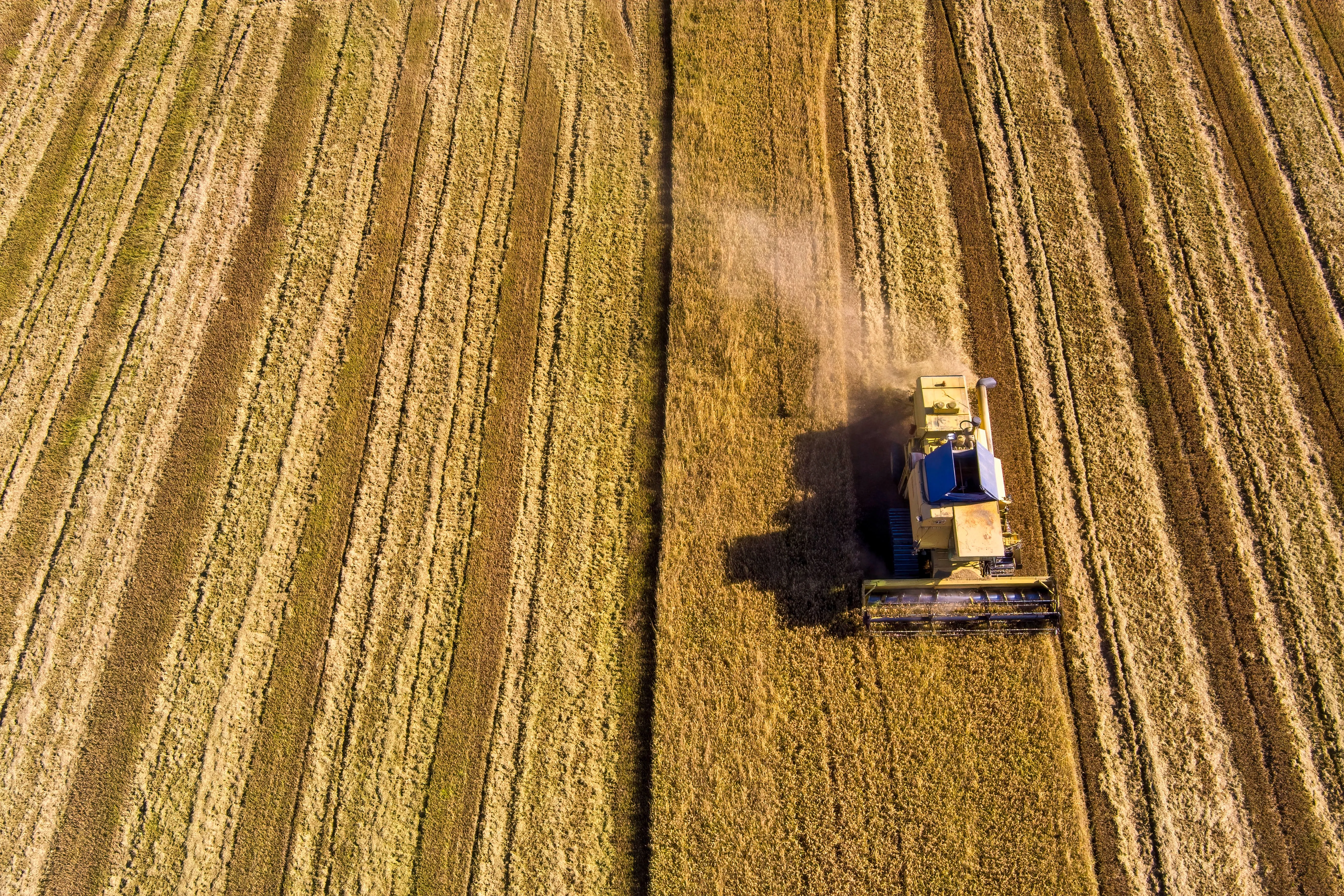 Από τα Στενά του Ορμούζ στη Χαλάστρα - Πώς ο πόλεμος φουσκώνει τα λιπάσματα