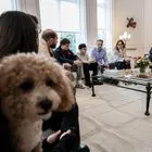 Συνάντηση Μητσοτάκη με Έλληνες που επαναπατρίστηκαν με τα ζώα συντροφιάς τους 