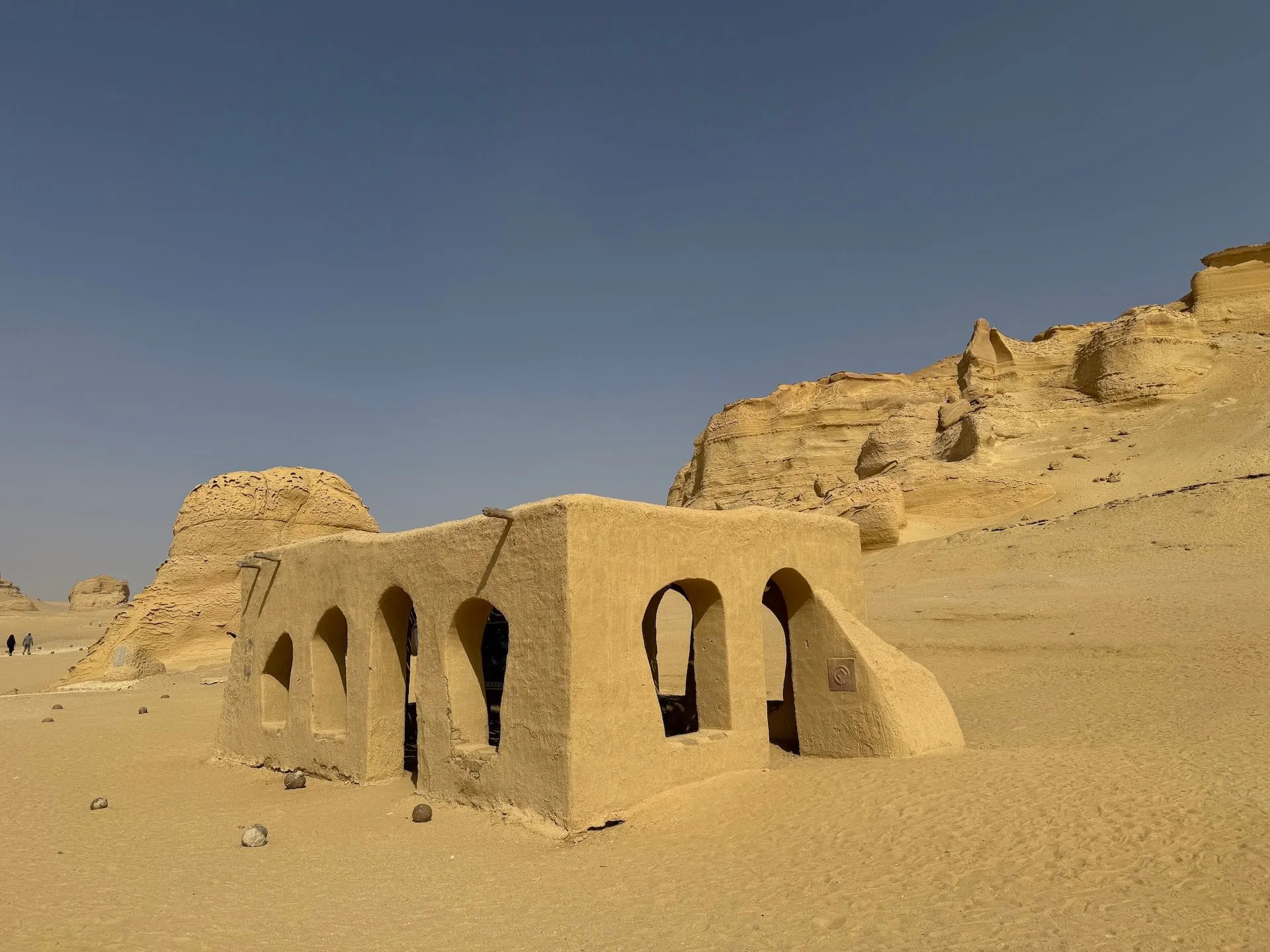 Στην κοιλάδα των Φαλαινών