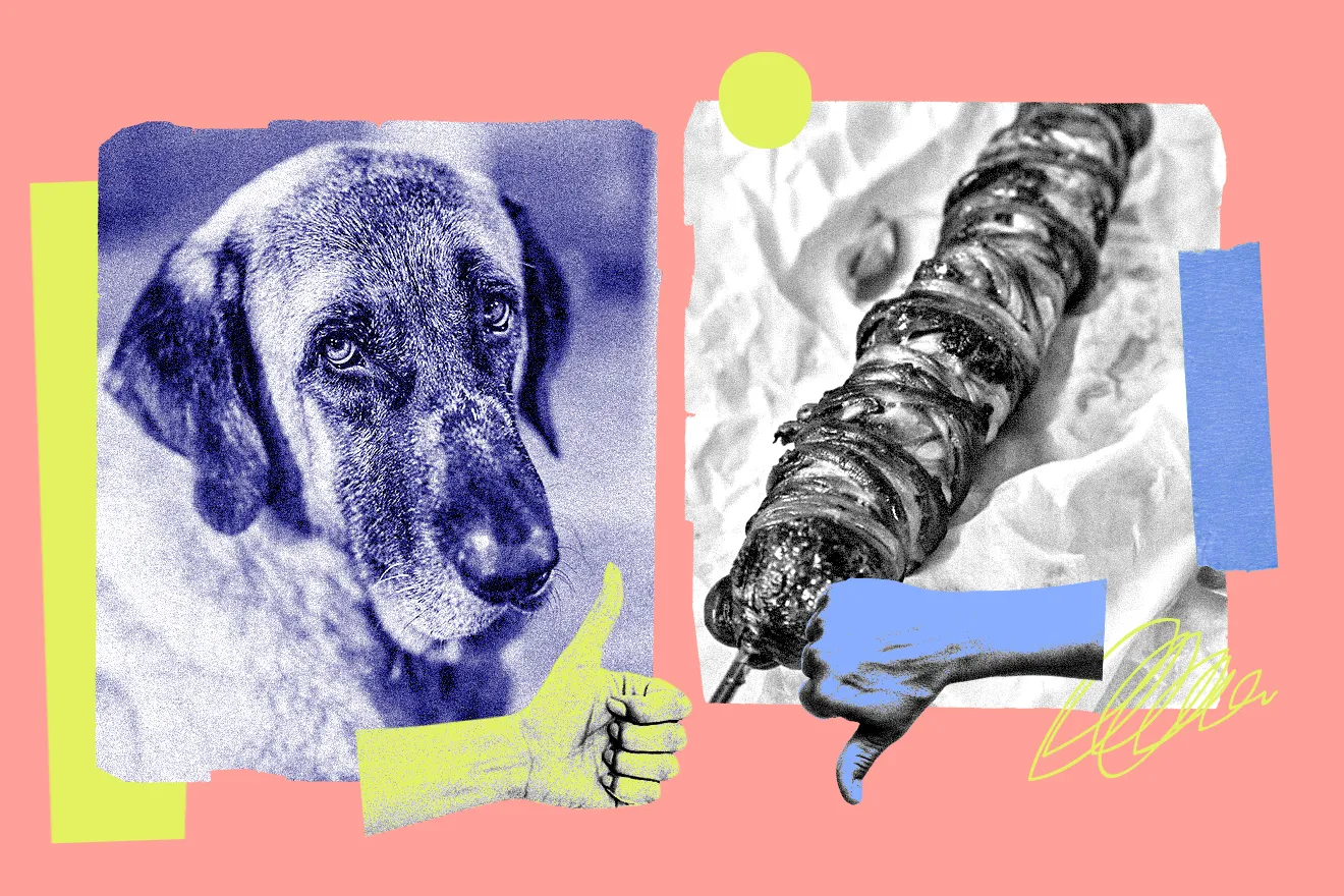 Λάικ – ντισλάικ: Από τον σκύλο του Λάνθιμου στο κοκορέτσι της Καραβάτου