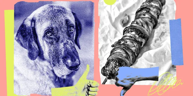 Λάικ – ντισλάικ: Από τον σκύλο του Λάνθιμου στο κοκορέτσι της Καραβάτου