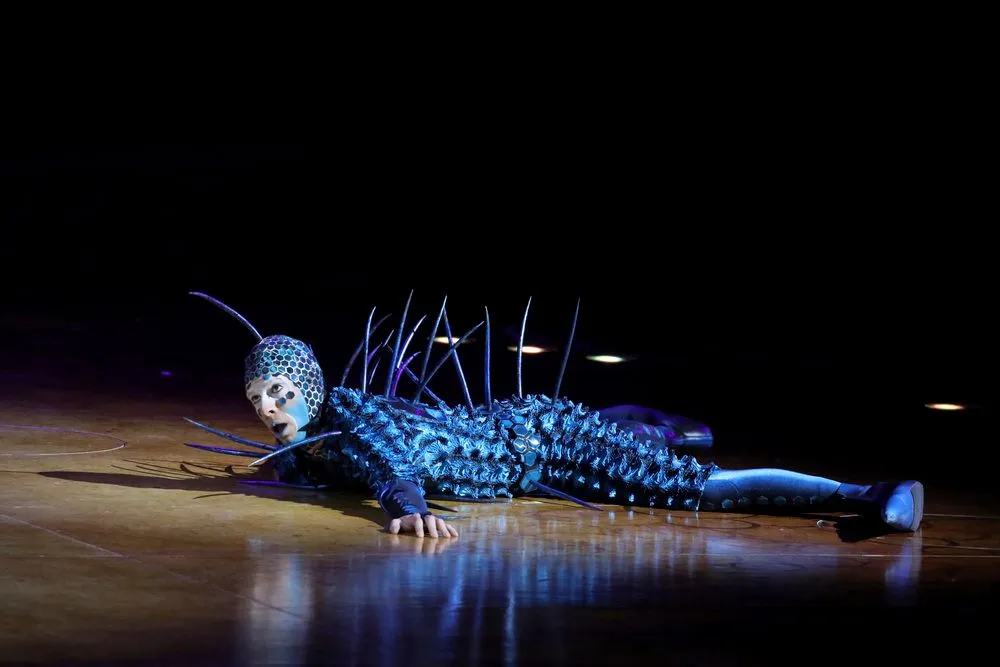 Το Ovo στο The Royal Albert Hall