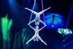 Cirque du Soleil