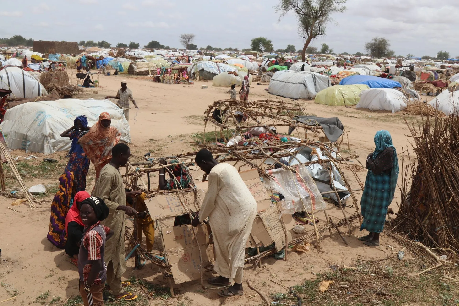 Πρόσφυγες κατασκευάζουν πρόχειρες σκηνές για να μείνουν. Το Τσαντ εχει δεχτεί πάνω απο ένα εκατομμύριο πρόσφυγες απο το Νταρφουρ, στην πλειοψηφία Μασαλιτ.