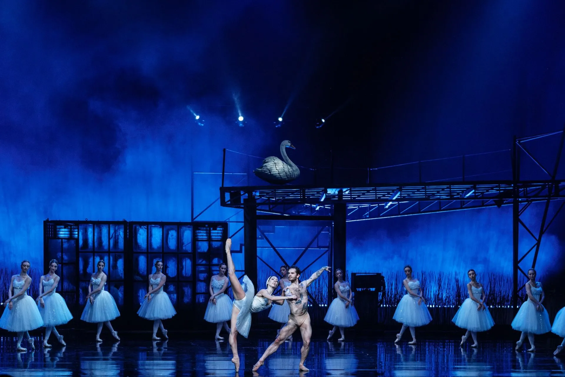 Λίμνη των Κύκνων