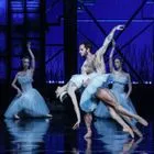 Λίμνη των Κύκνων