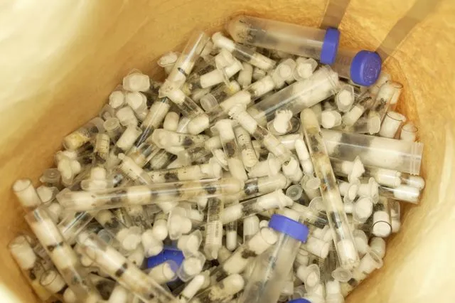 Μυρμήγκια σε γυάλινα δοχεία