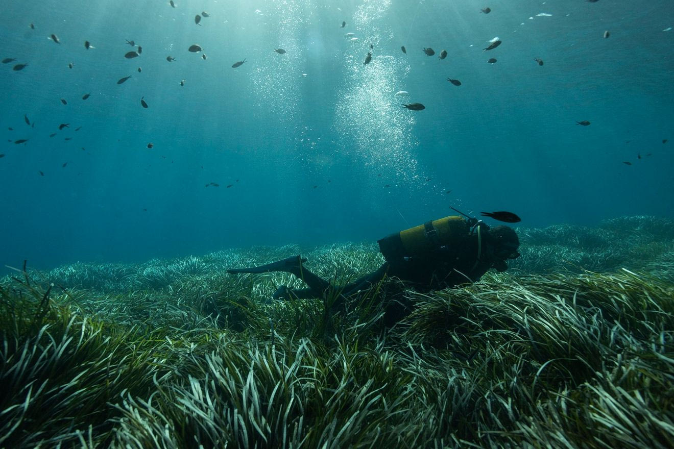 Το πρόγραμμα που προστάτευσε τη φύση στην Ελλάδα, κινδυνεύει να χαθεί