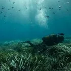 Το πρόγραμμα που προστάτευσε τη φύση στην Ελλάδα, κινδυνεύει να χαθεί