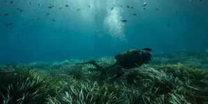 Το πρόγραμμα που προστάτευσε τη φύση στην Ελλάδα, κινδυνεύει να χαθεί