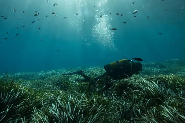 Το πρόγραμμα που προστάτευσε τη φύση στην Ελλάδα, κινδυνεύει να χαθεί