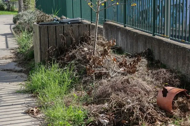 Ακαθάριστα οικόπεδα: Από 1η Απριλίου ο υποχρεωτικός καθαρισμός – Οι προθεσμίες και τα πρόστιμα