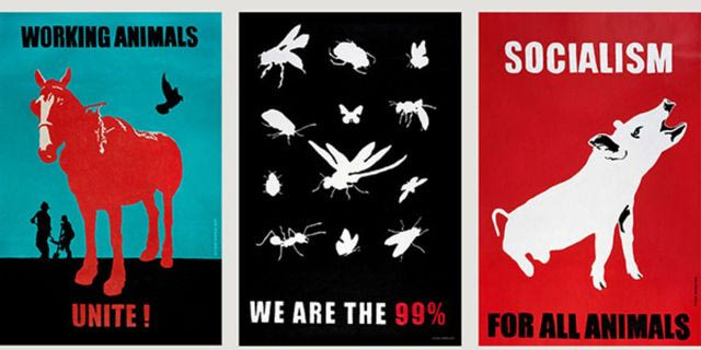 (Against) Animal Capitalism: Διήμερο Συμπόσιο για τη θέση της μη ανθρώπινης ζωής στην κοινωνία
