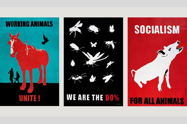 (Against) Animal Capitalism: Διήμερο Συμπόσιο για τη θέση της μη ανθρώπινης ζωής στην κοινωνία