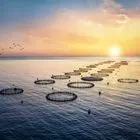 Ιχθυοκαλλιέργειες