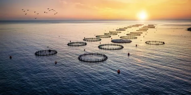 Ιχθυοκαλλιέργειες