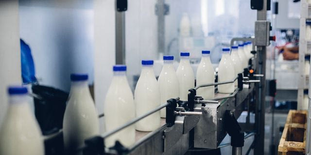 Λέσβος: Σταματά η αγορά γάλακτος την Πέμπτη λόγω του αφθώδους πυρετού