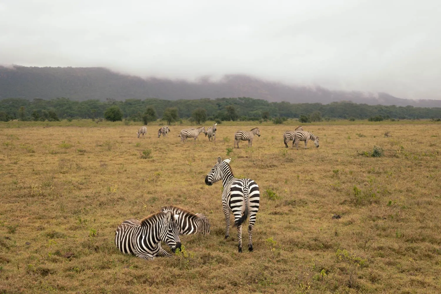 ντοκιμαντέρ «HillTen»