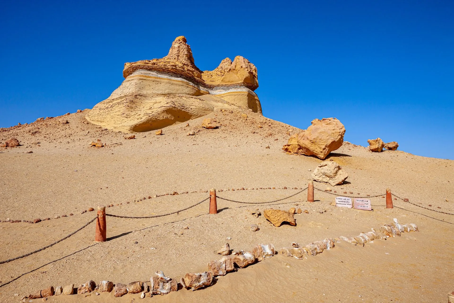 Απολιθώματα...