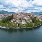 Καστοριά: Νεκρός κύκνος από γρίπη των πτηνών