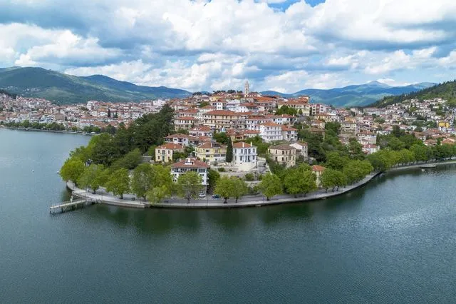 Καστοριά: Νεκρός κύκνος από γρίπη των πτηνών