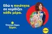 «Όποιος ξέρει, ξέρει»: Η νέα 360° καμπάνια της Lidl Ελλάς αναδεικνύει την αδιαπραγμάτευτη ποιότητα μέσα από τα μάτια των καταναλωτών της