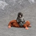 Για μία χρήση