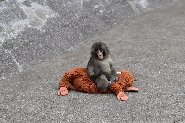 Για μία χρήση