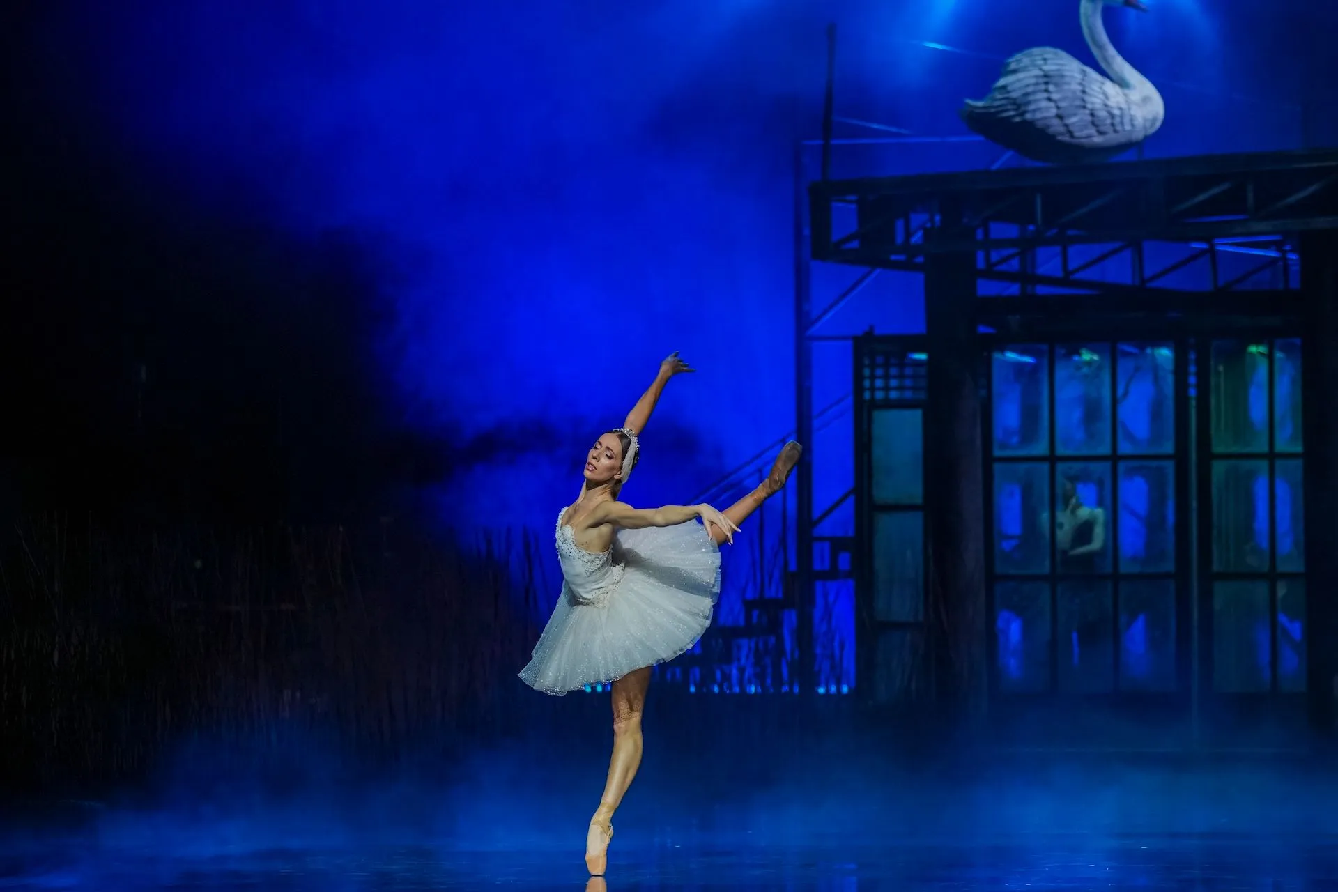 Λίμνη των Κύκνων