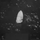 Νέο πλήγμα των ΗΠΑ σε ταχύπλοο στον Ειρηνικό – 6 νεκροί