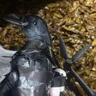 Τέξας: Μεταμφίεσαν drones σαν κοράκια για να παραδώσουν ναρκωτικά σε φυλακή