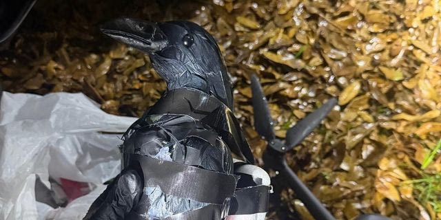 Τέξας: Μεταμφίεσαν drones σαν κοράκια για να παραδώσουν ναρκωτικά σε φυλακή