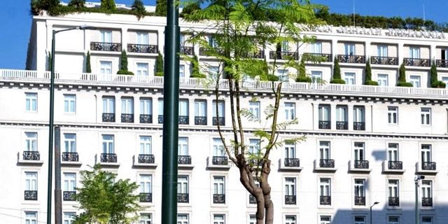 τζακαράντες