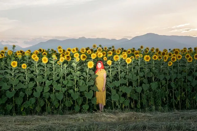 Τι είναι το WOW Athens;