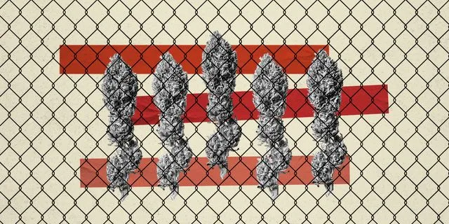 CBD: Θα απαγορευτεί ο ανθός κάνναβης από τα καταστήματα;