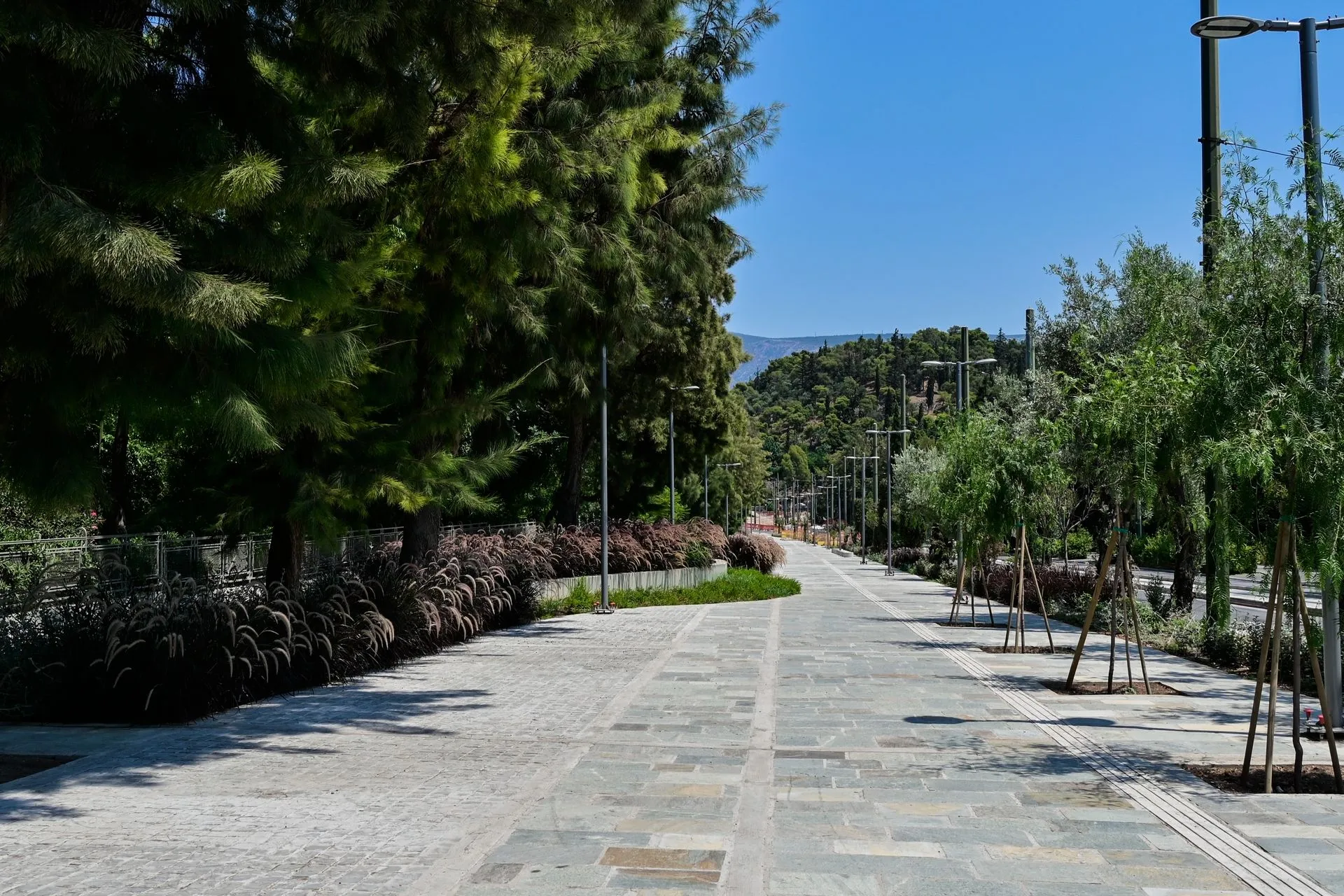 Στιγμιότυπο από την λεωφόρο Βασιλίσσης Όλγας στην Αθήνα