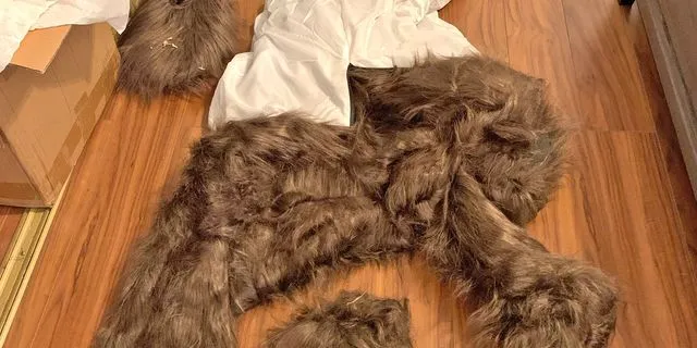 Η στολή αρκούδας των απατεώνων