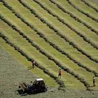 Αυστρία: Στους δρόμους της Βιέννης αγρότες – Τα αιτήματα