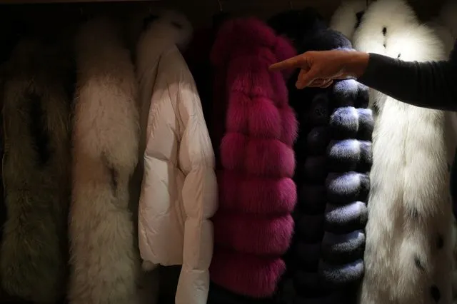 Η ΕΕ “κόβει” τη γούνα, οι celebrities την “ψηφίζουν”